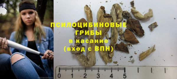 спайс Алексин