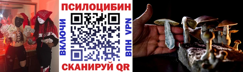 kraken ссылки  Избербаш  Галлюциногенные грибы Psilocybe  закладка 