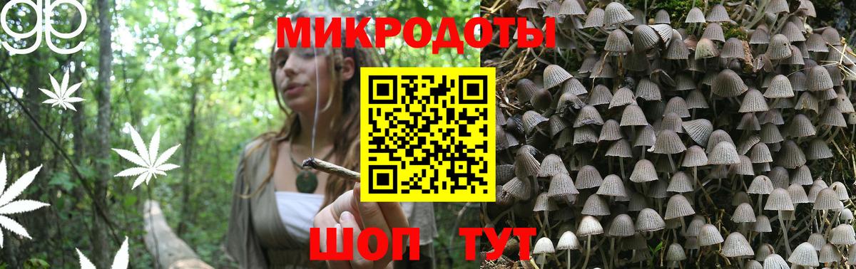 Галлюциногенные грибы мицелий Избербаш