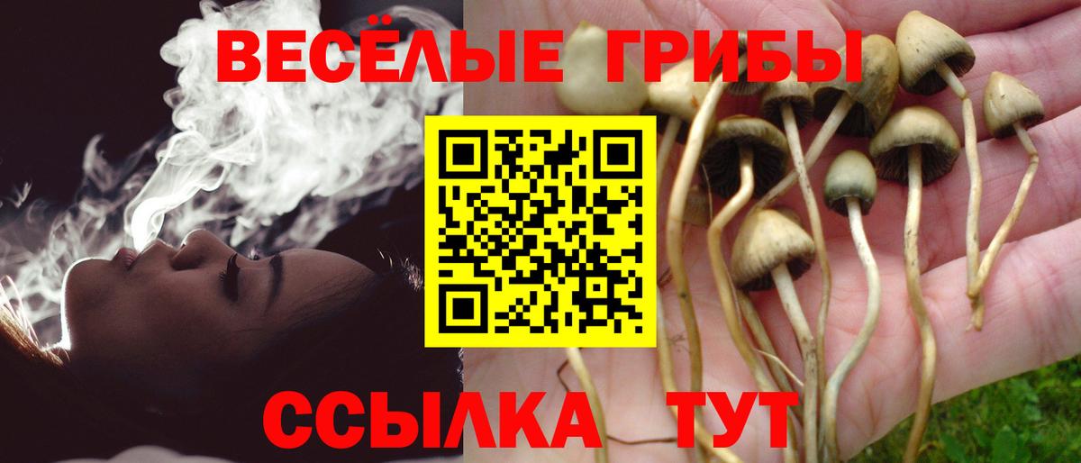 магазин продажи   Псилоцибиновые грибы прущие грибы  Вход с VPN  Избербаш  Галлюциногенные грибы мухоморы 